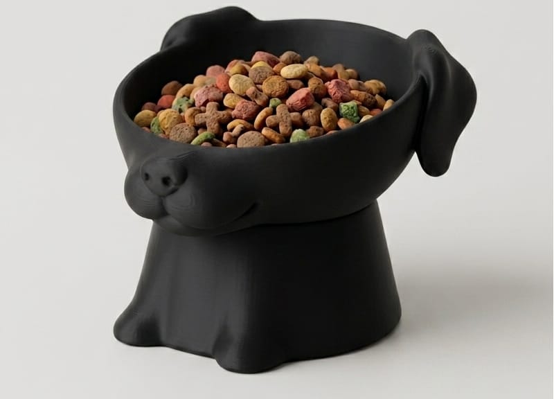 Comedero para perro personalizado, vista 2
