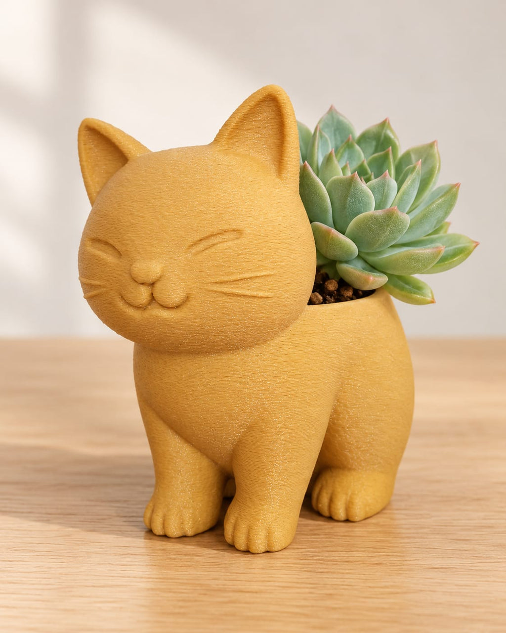 Maceta para gatos