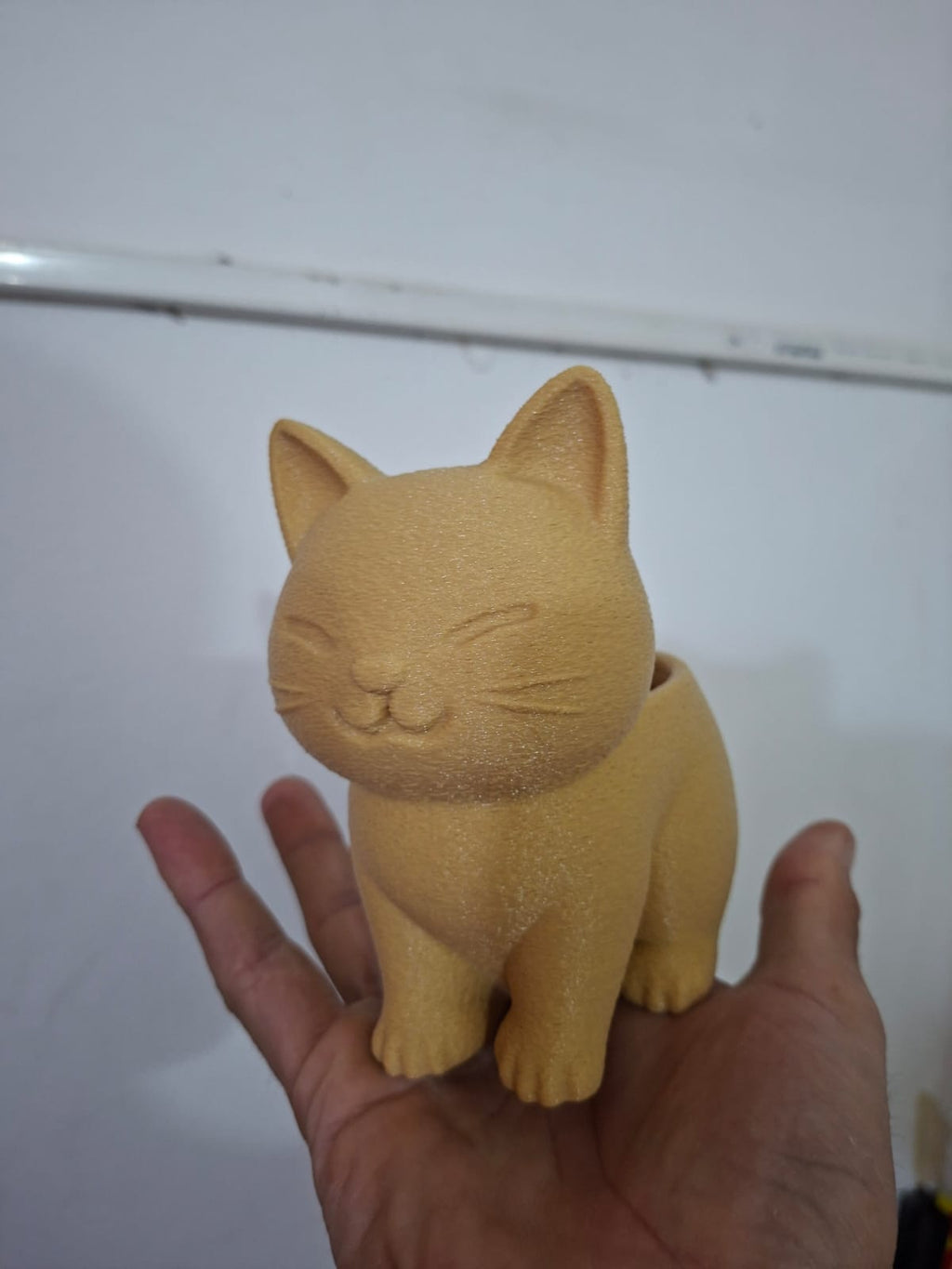 Maceta para gatos
