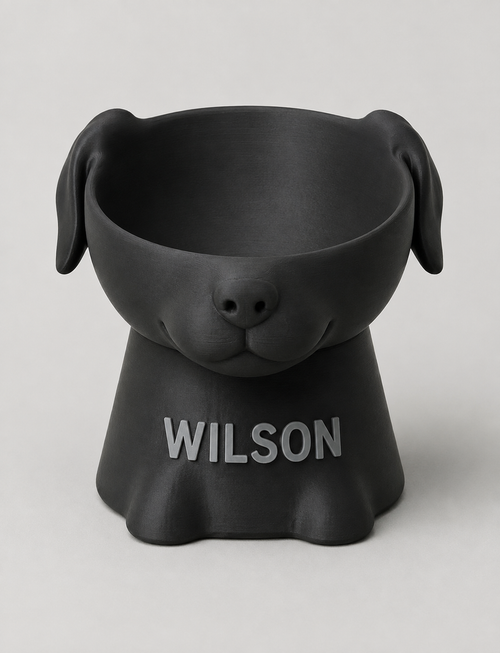 Comedero Personalizado para Perro