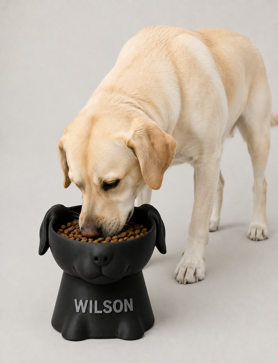 Comedero Personalizado para Perro