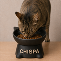 Comedero Personalizado para Gato
