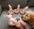 CONEJA DE PASCUA