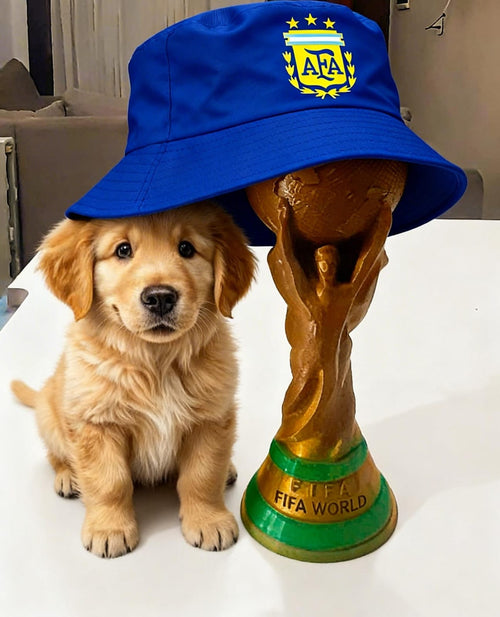 COPA DEL MUNDO 3D