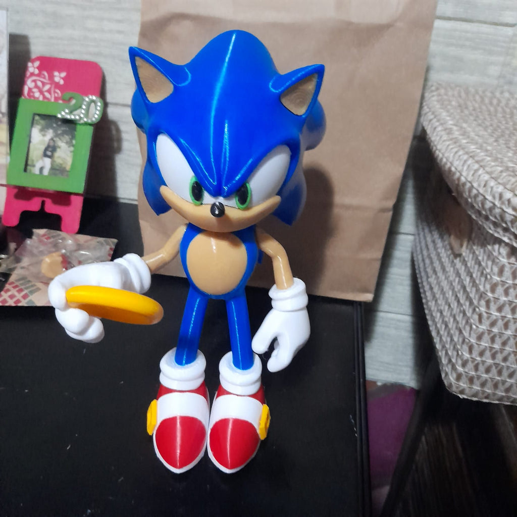 SONIC EL ERIZO